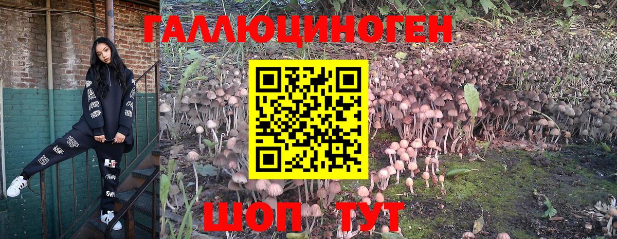 Луга  Галлюциногенные грибы прущие грибы  Вход с VPN 